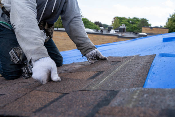 Best Storm Damage Roof Repair  in Basehor, KS