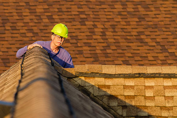 Best Roof Repair Services  in Basehor, KS