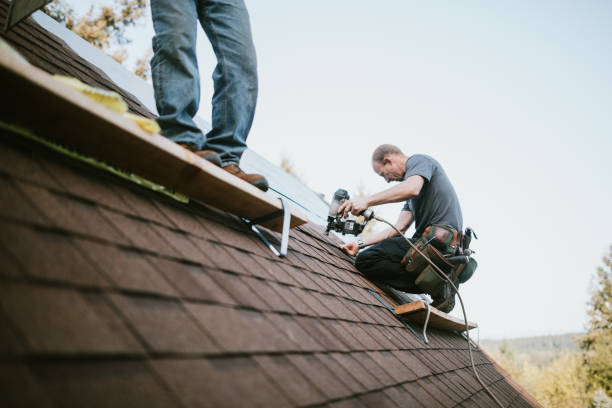 Best Storm Damage Roof Repair  in Basehor, KS